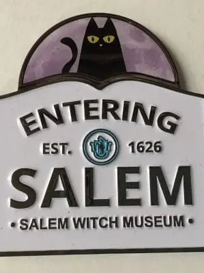 entering Salem magnet cat