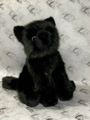 Salem the Black Cat stuffed animal